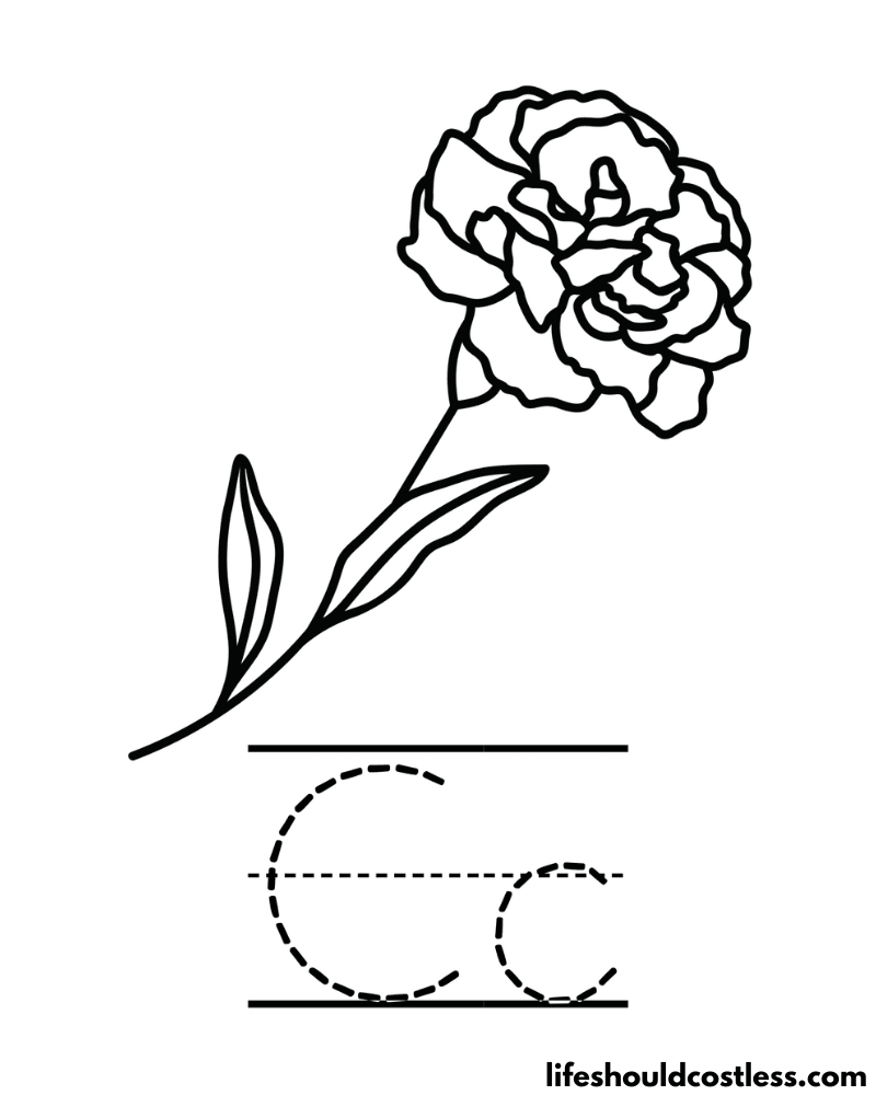 Letter C is for carnation coloring page example
