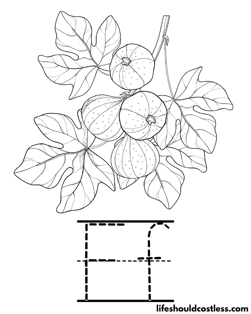 Letter F is for fig coloring page example