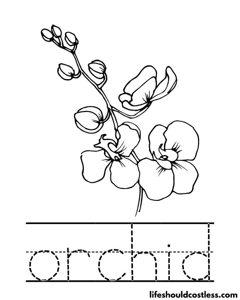 Letter O is for orchid coloring page example
