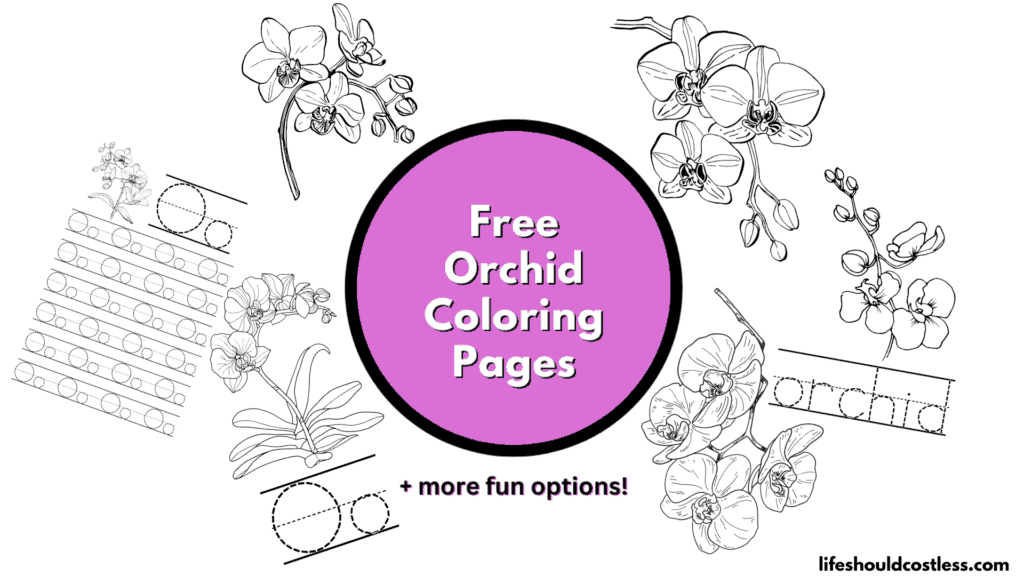 Orchid coloring pages
