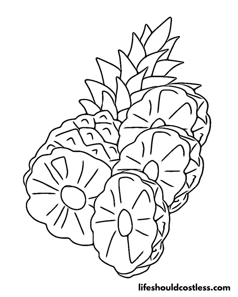 Outline Slices Pineapple Coloring Sheet Example