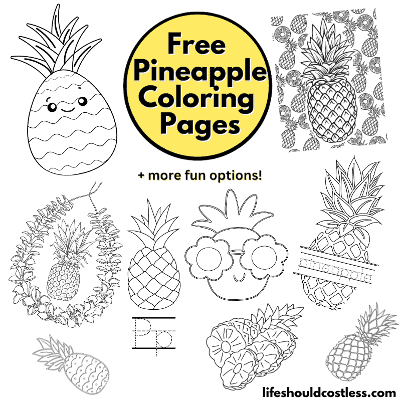 Pineapple Colouring Pages (2)