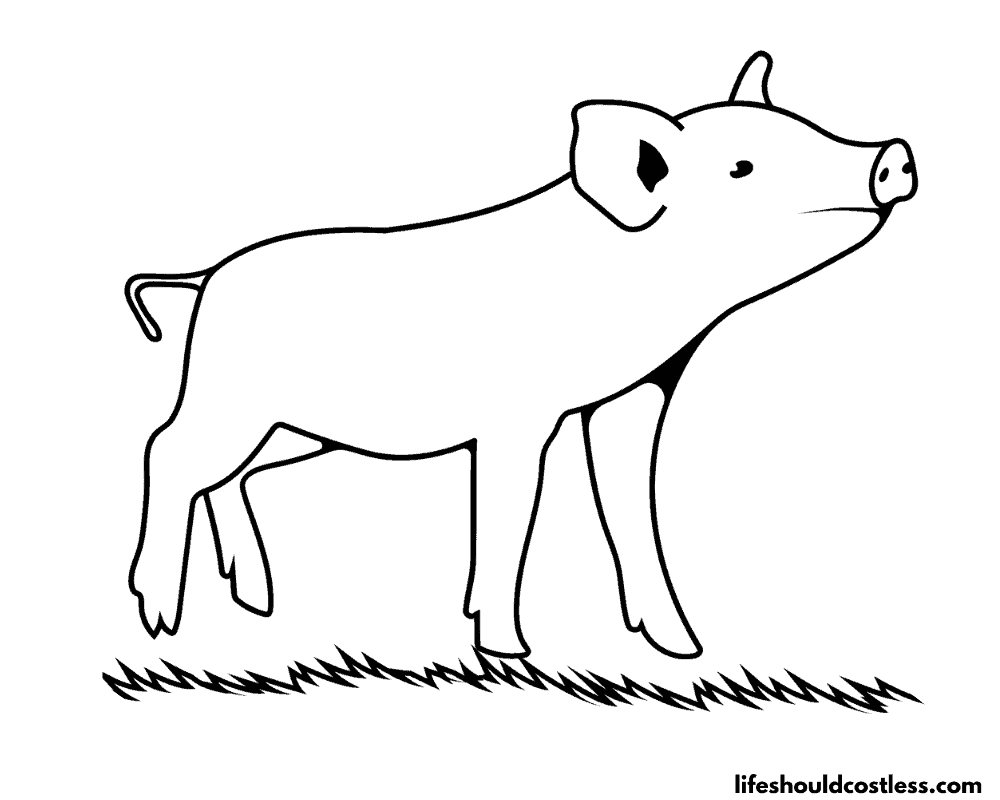 Realistic Piggy Coloring Pages Printable Example