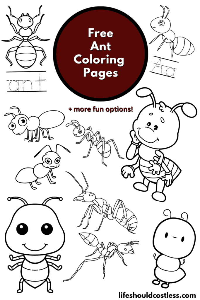 ant coloring pages
