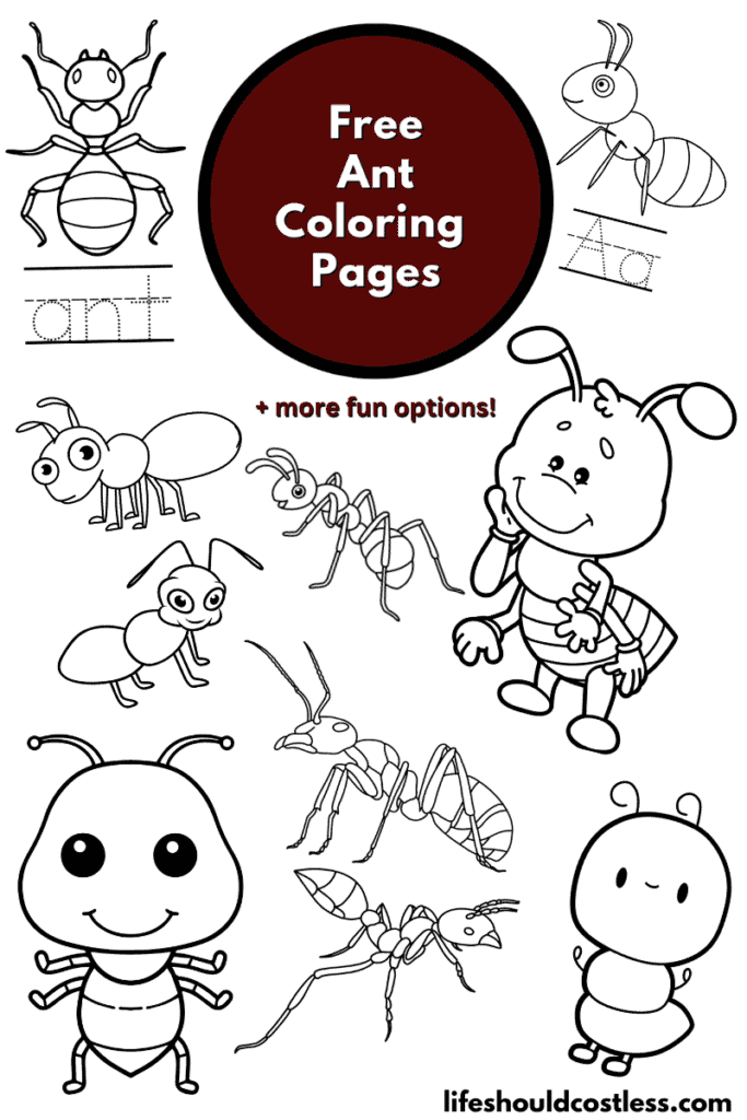 10 Best Paint By Number Printable Templates - printablee.com  Abstract  coloring pages, Detailed coloring pages, Adult color by number