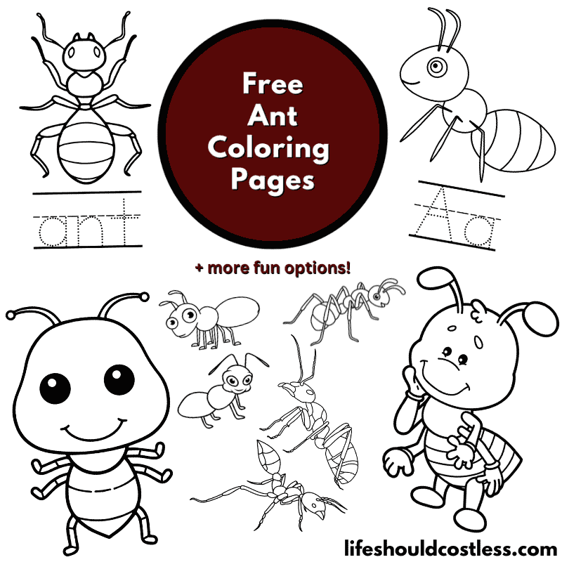 ants coloring sheet