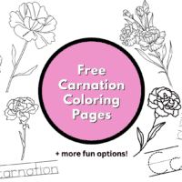 carnation coloring pages