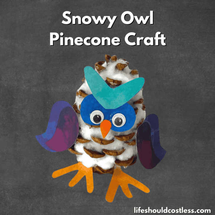 pine cone owl template