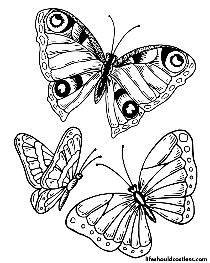 Butterflies coloring page example