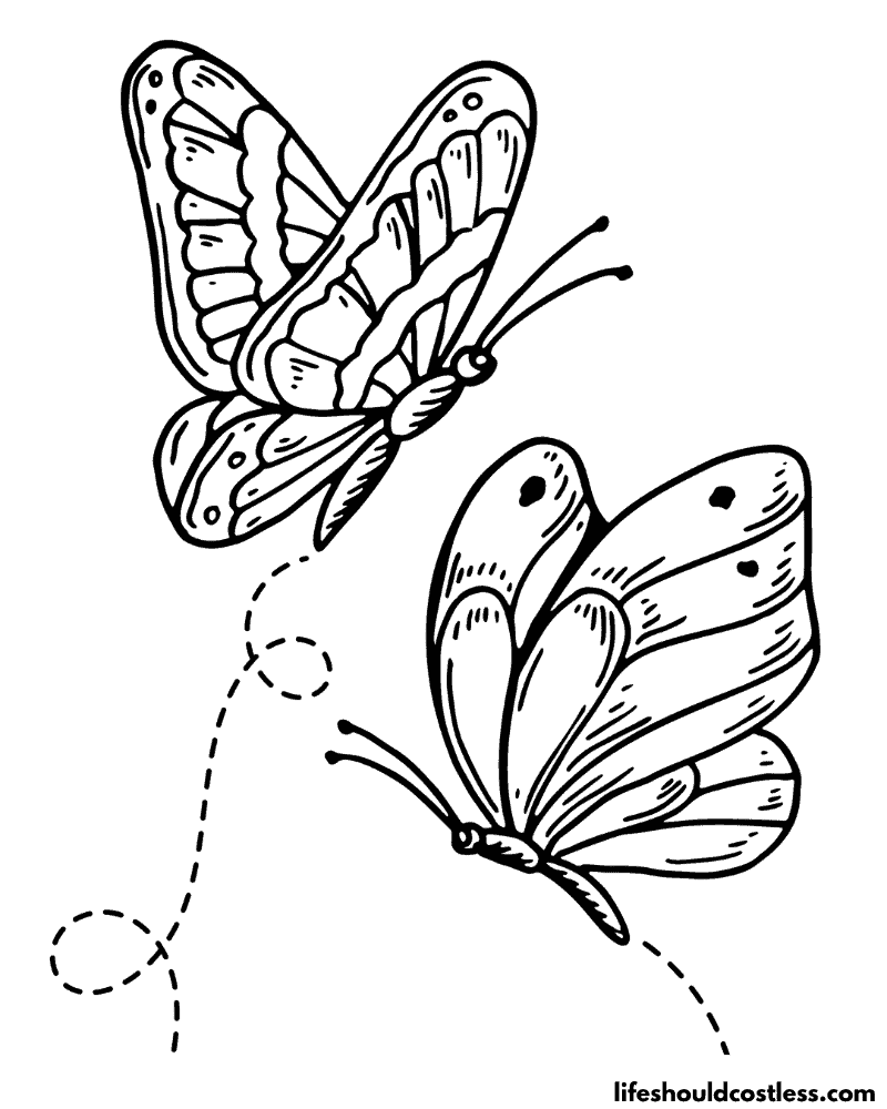 Color pages of butterflies example