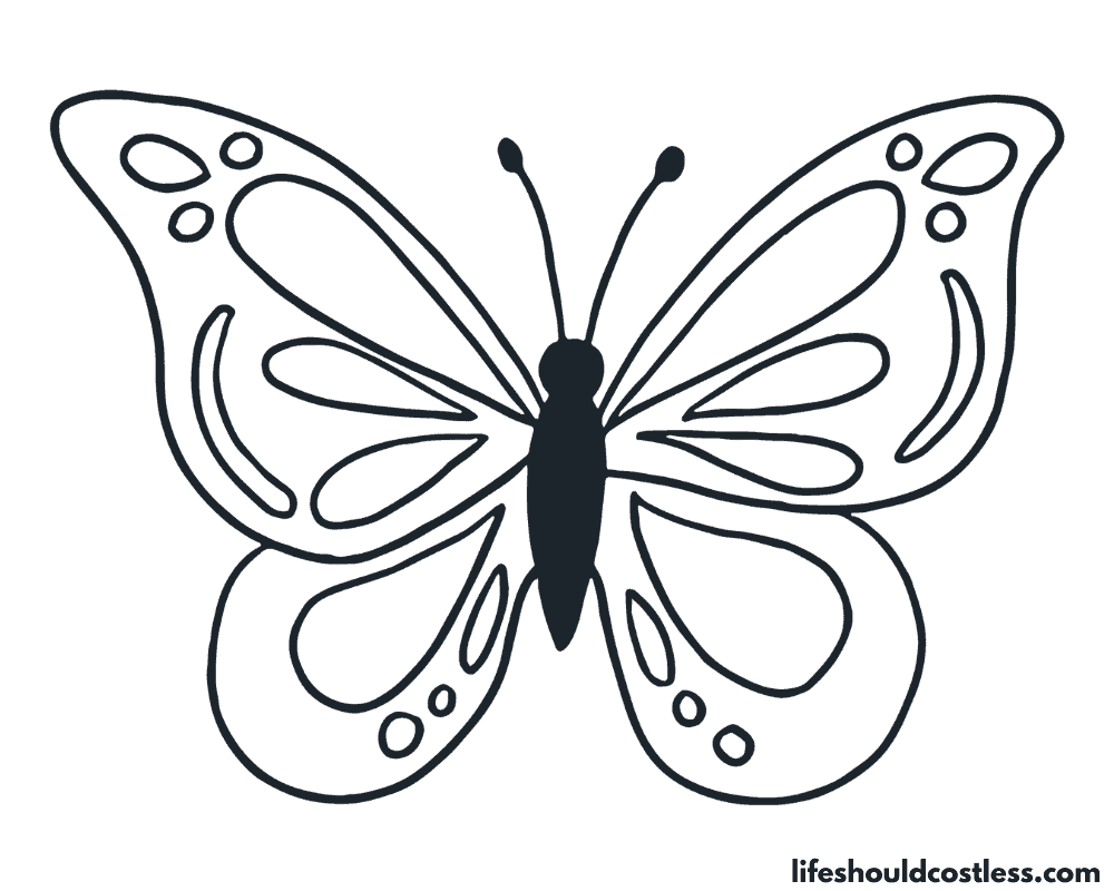 Color sheet butterfly example