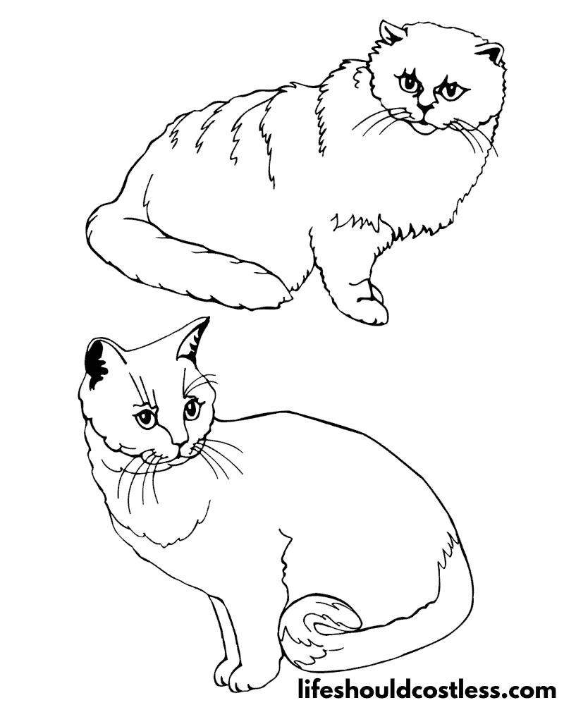 Coloring Pages Of Cats Example