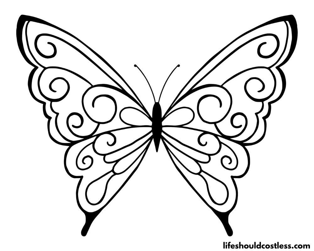 Coloring book pages butterfly example