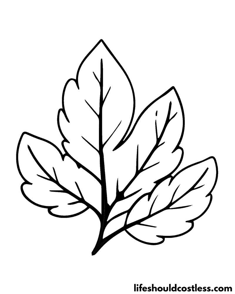 Coloring page leaf example