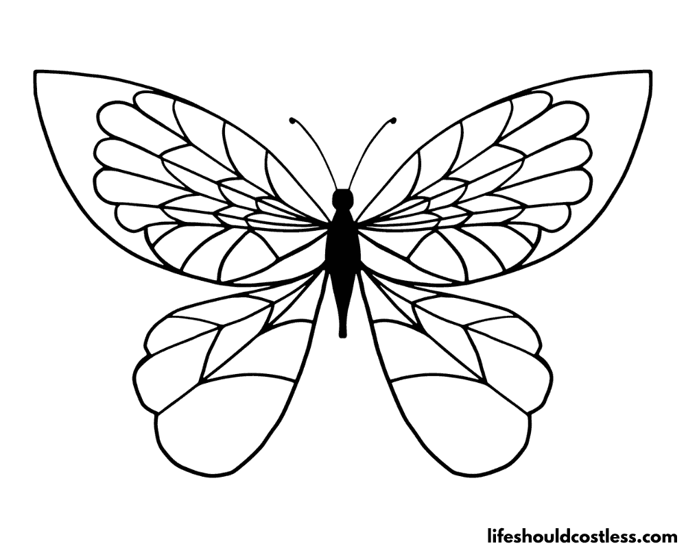Coloring page of a butterfly example