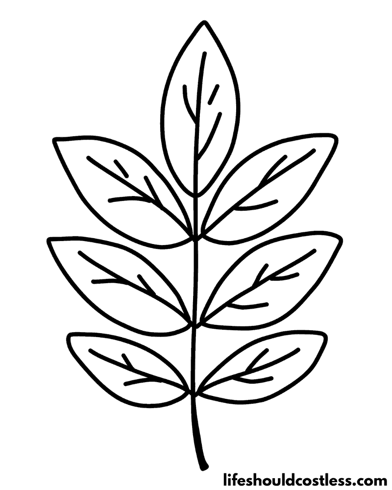 Coloring page of leaf example