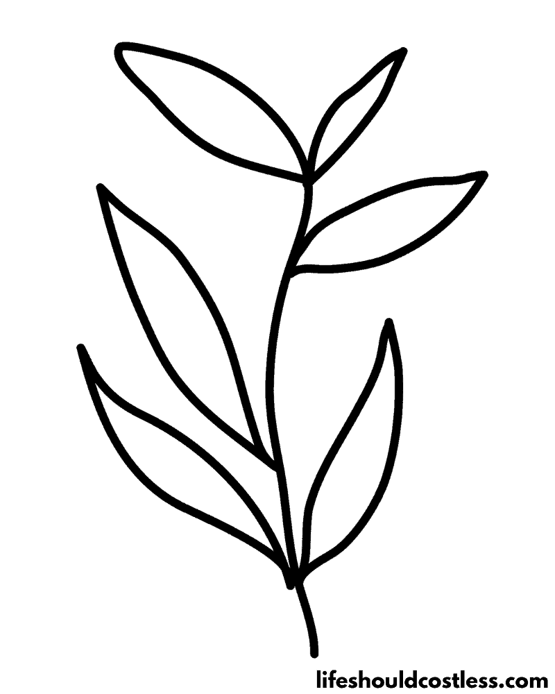 Coloring pages of leaf example