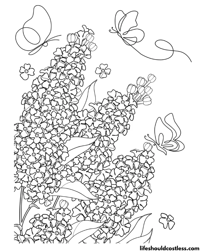 Coloring sheet of butterfly example