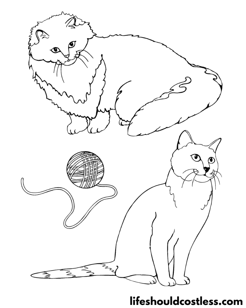 Colouring Pages Of Cats Example