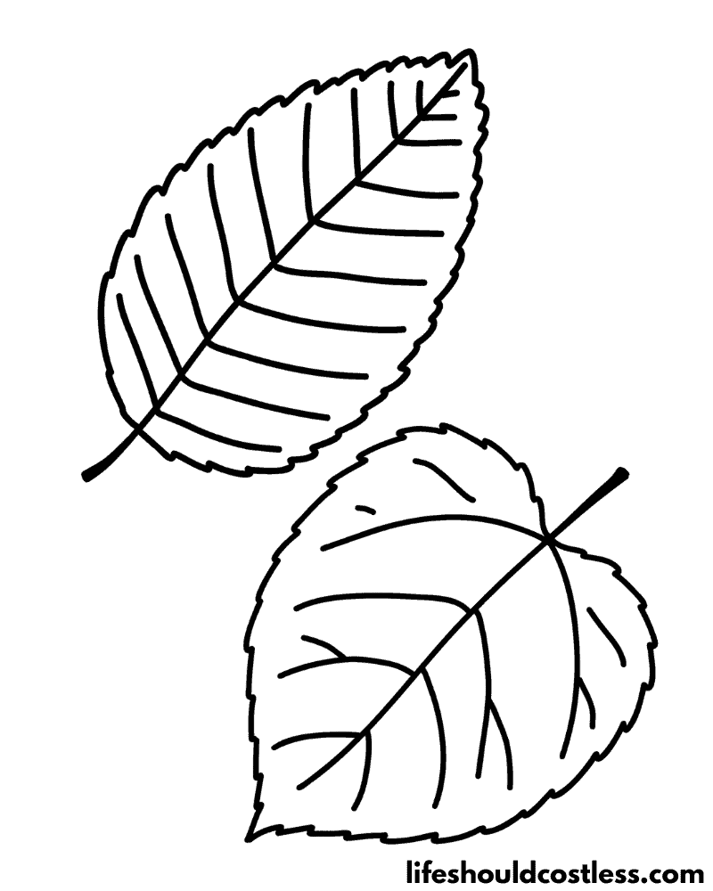 Colouring pages leaves example