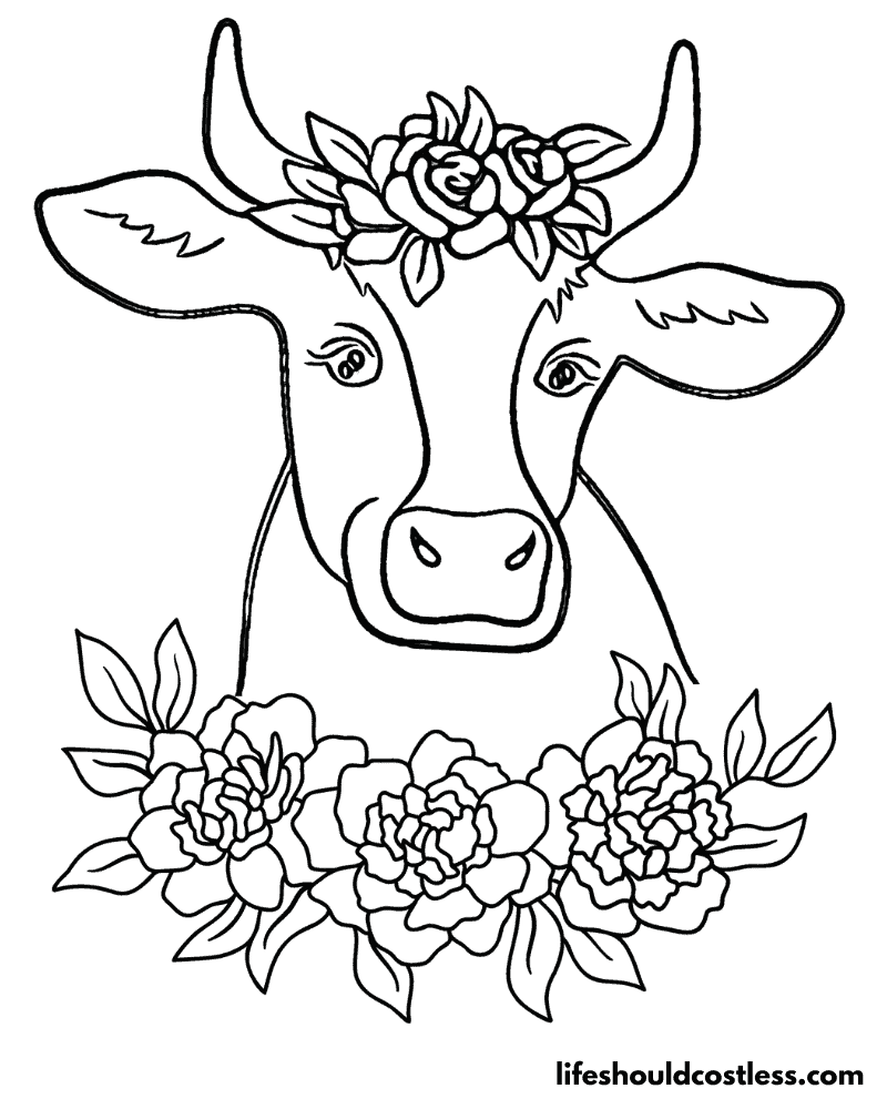 Cow face coloring sheet example