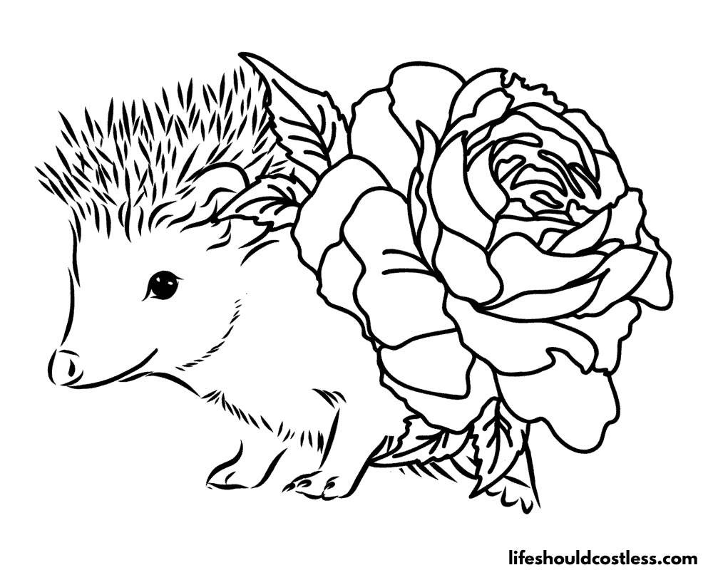 Floral Hedgehogs Coloring Pages Example