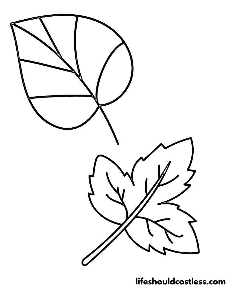 Leaf coloring pages example