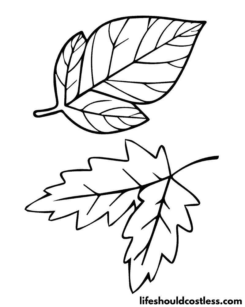 Leafs coloring pages example