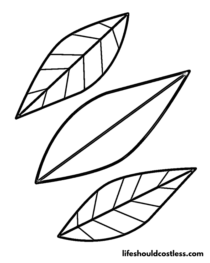 Leaves color sheet example