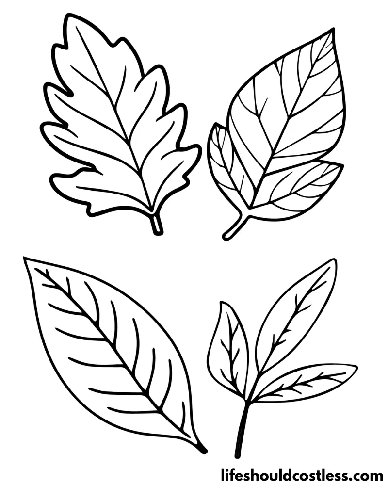 Leaves coloring pages example