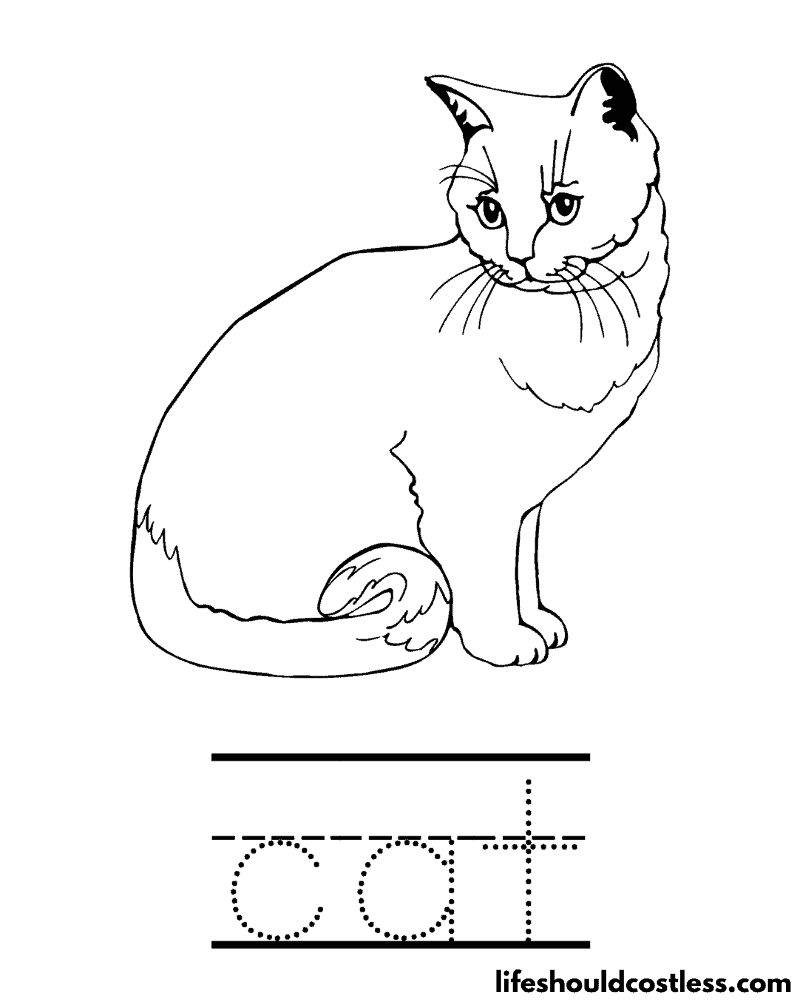 Letter C is For Cat Worksheet Example