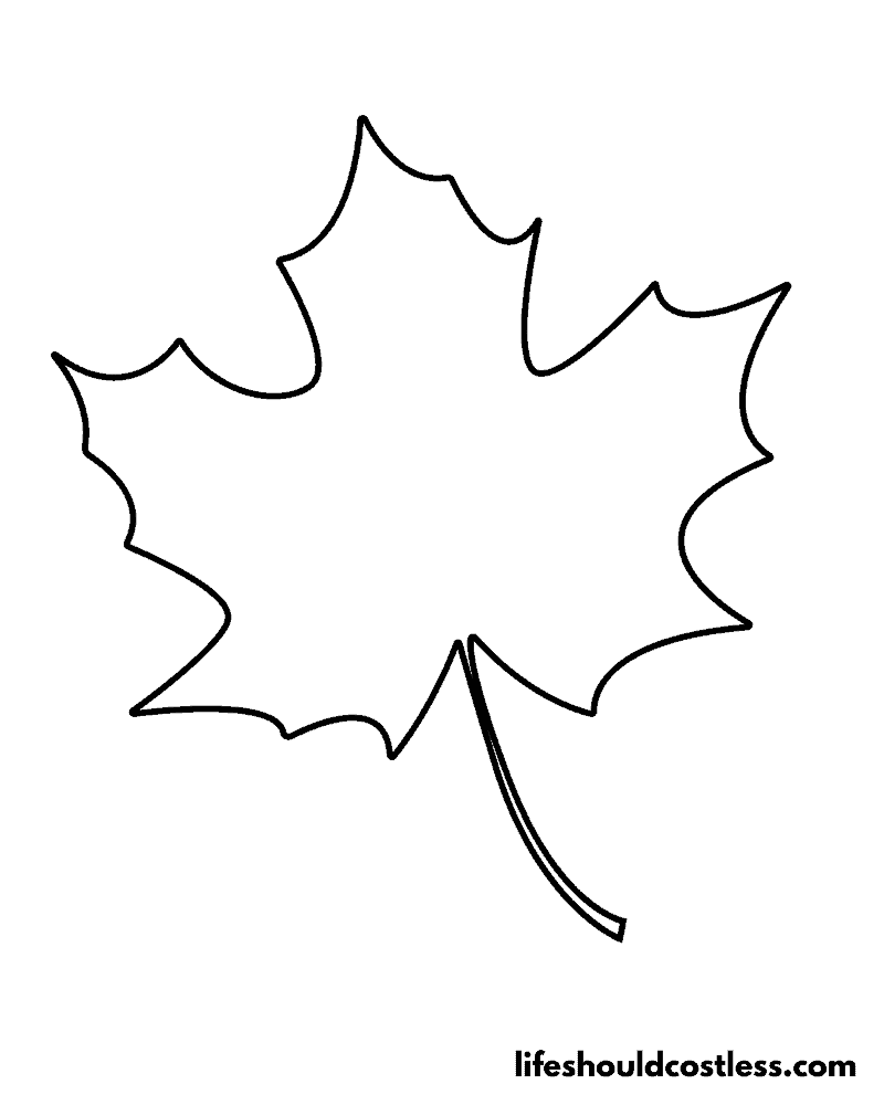 Maple leafs coloring page example