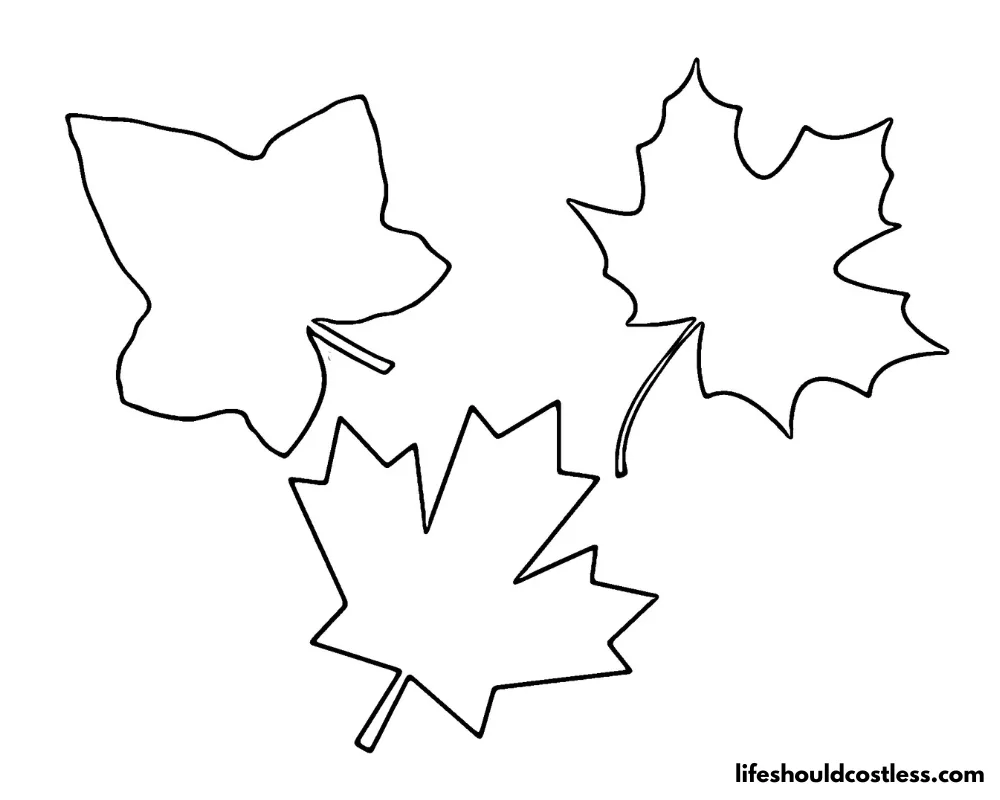 Maple leaves coloring page example