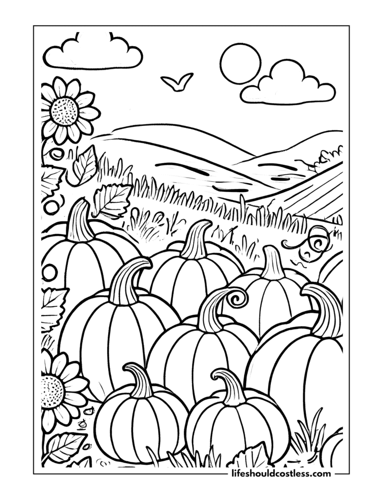 pumpkin patch coloring pages