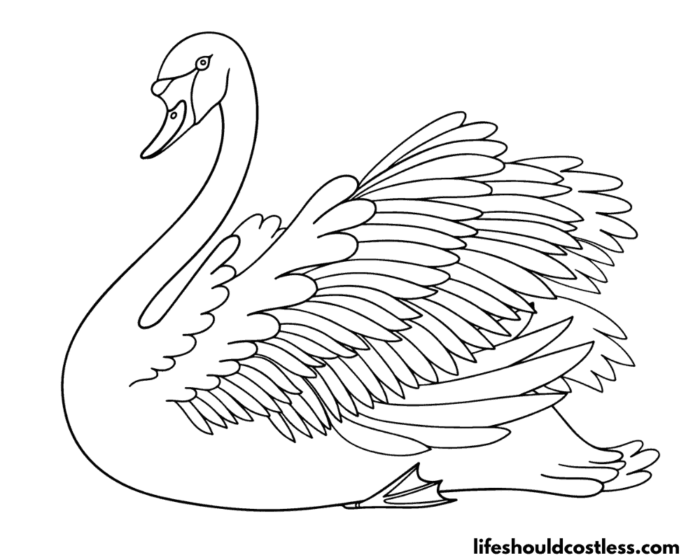 Swan colouring pages example