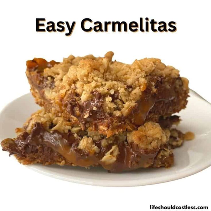 Easy Carmelitas Recipe (Video) Life Should Cost Less