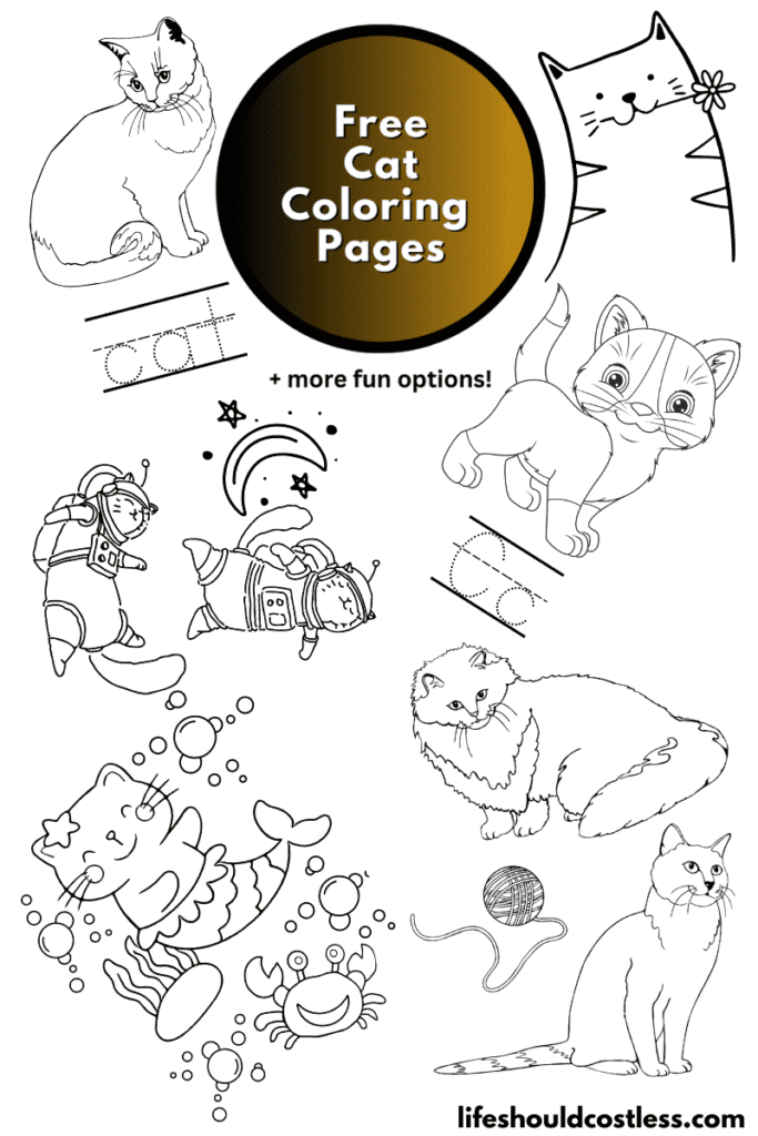 Coloring Books For Teens: Wolves & More: Advanced Animal Coloring