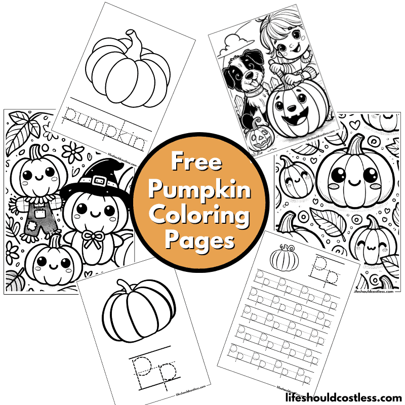 color sheet pumpkin