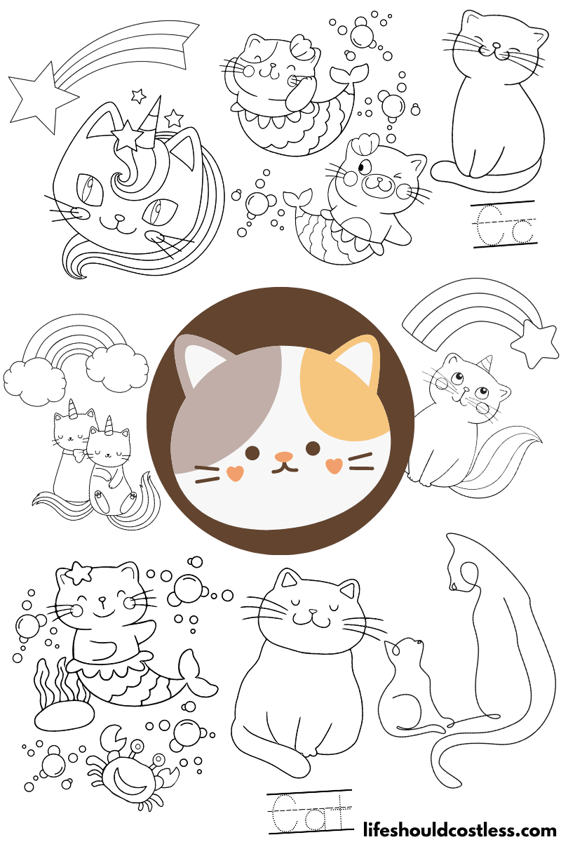 coloring cats pages