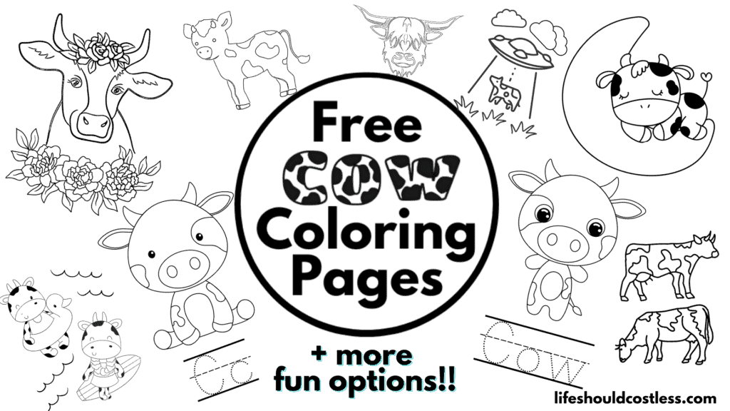 coloring pages of cow