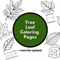 colouring pages leaves