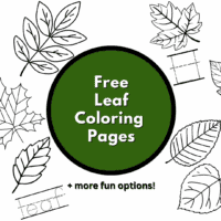 colouring pages leaves