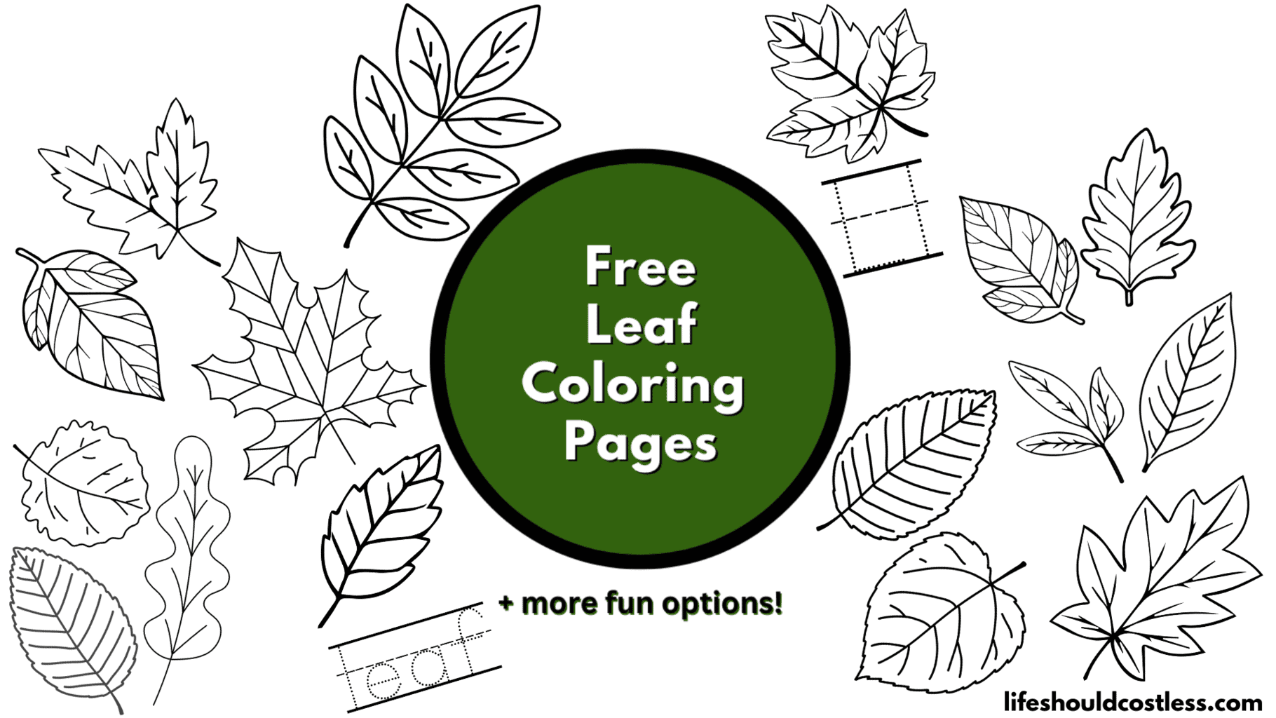 rainforest leaves coloring pages