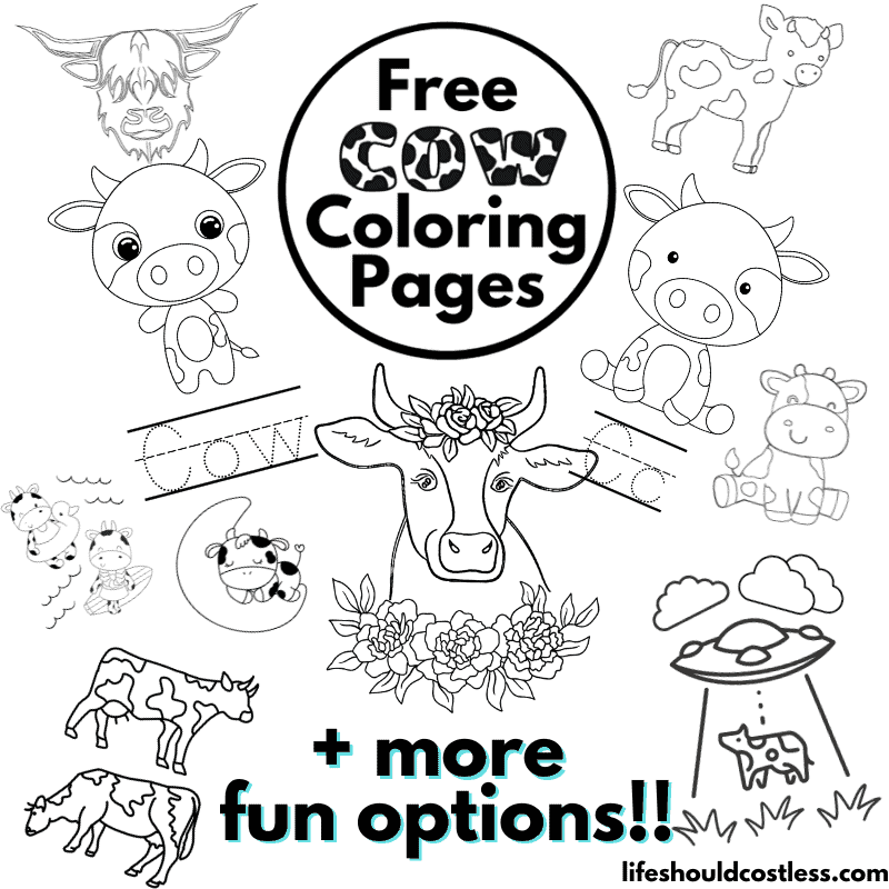 cow colouring in page