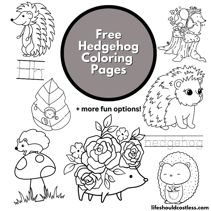 cute hedgehog coloring pages