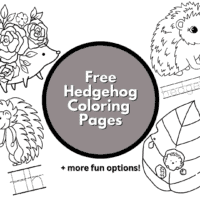 hedgehog colouring page