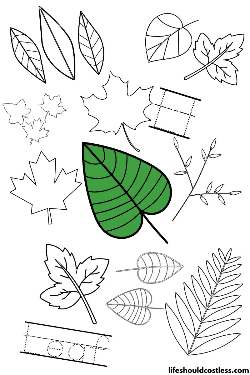leafs coloring pages