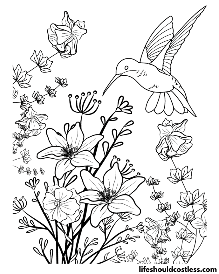 Hummingbird Coloring Pages (free PDF prints) - Life Should Cost Less