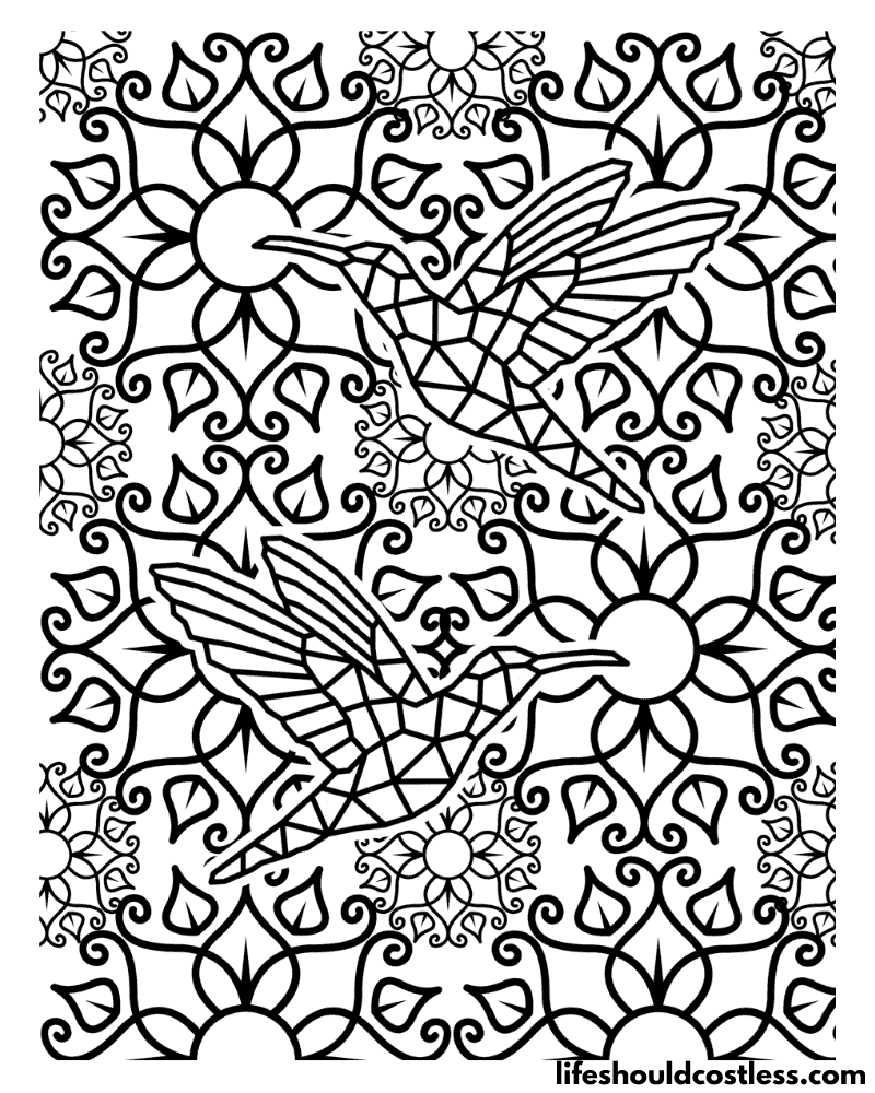 Adult Hummingbird Pattern Free Coloring Pages Example