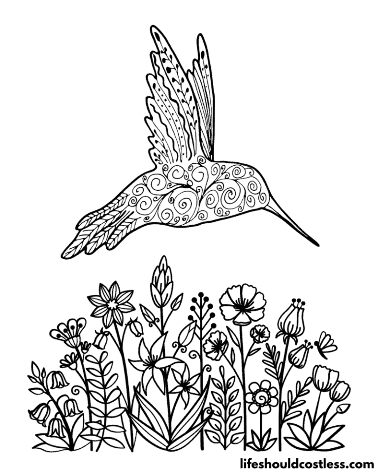 Hummingbird Coloring Pages (free PDF prints) - Life Should Cost Less